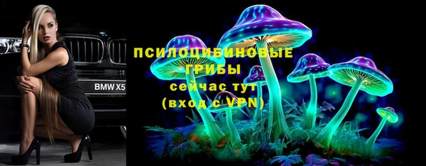 СК Снежинск