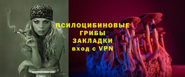 метадон Снежногорск